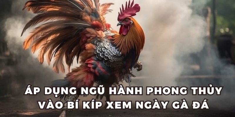 Áp dụng ngũ hành phong thủy vào bí kíp xem ngày gà đá