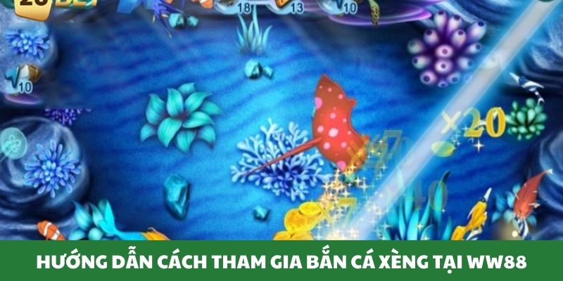 Thành viên tìm hiểu cách chơi bắn cá đơn giản