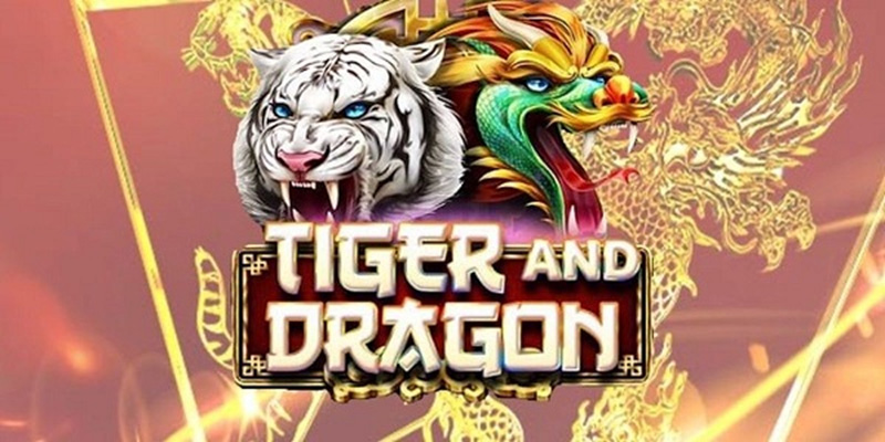 Cách Chơi Rồng Hổ Tại Nhà Cái WW88