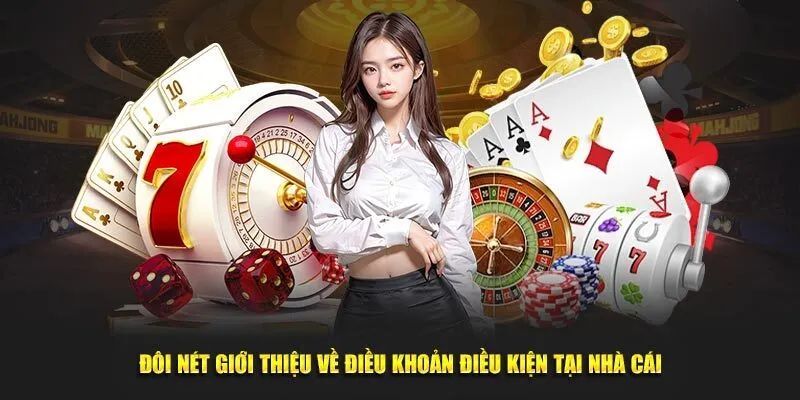Tóm lược thông tin về quy định điều khoản và điều kiện