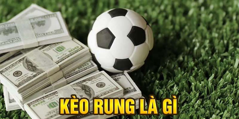 Kèo Rung Là Gì? Cách Bắt Kèo Rung Bóng Đá Hiệu Quả Tại WW88
