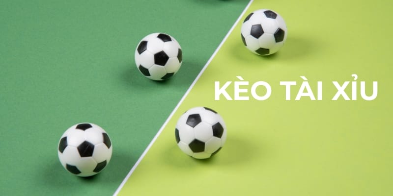 Kiến Thức Cơ Bản Mà Người Chơi Phải Biết